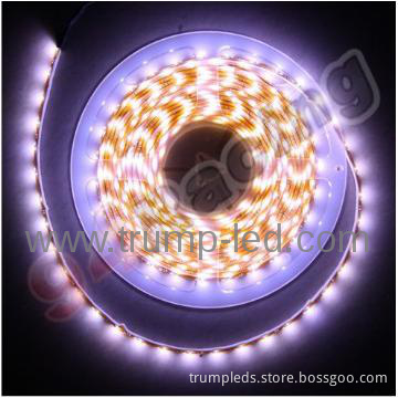 Eco-friendly Christmas led strip light led rope strip